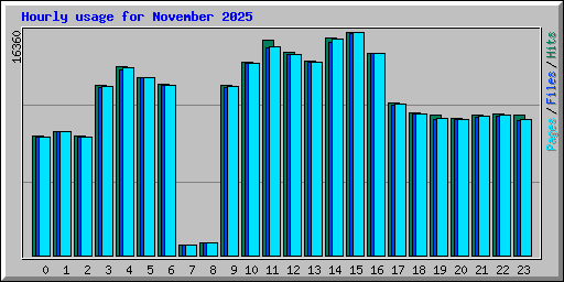 Hourly usage for November 2025
